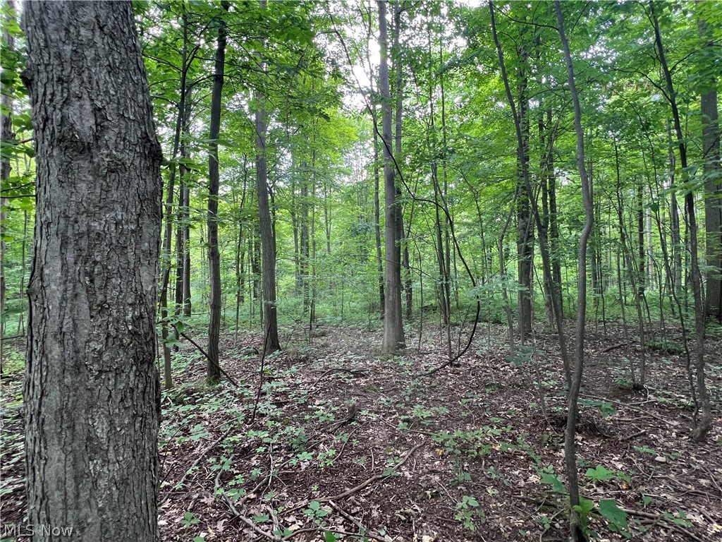 Weaver Road Conneaut OH 44030
