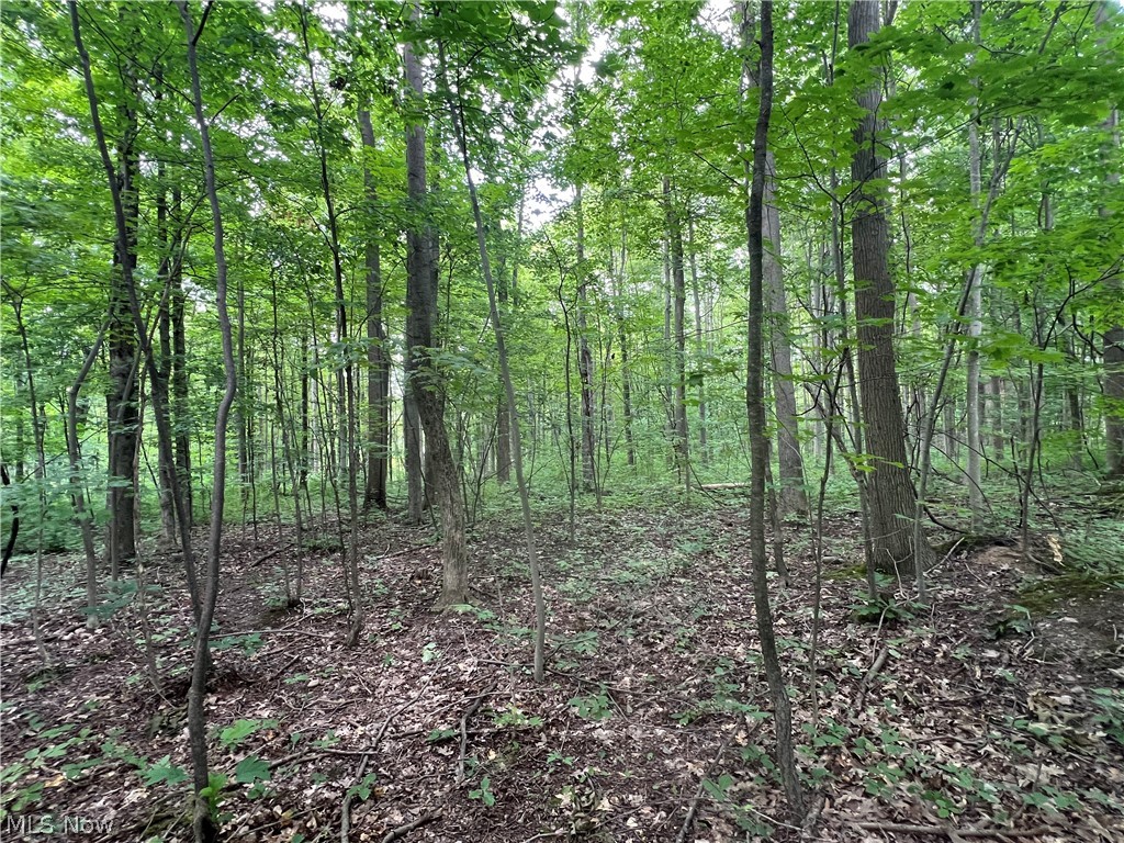 Weaver Road Conneaut OH 44030