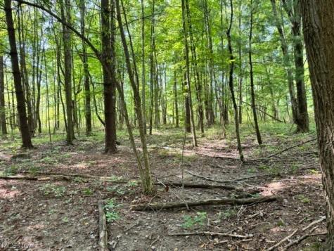 V/l Approx 7.4 Acres Medina Line Road Bath OH 44333