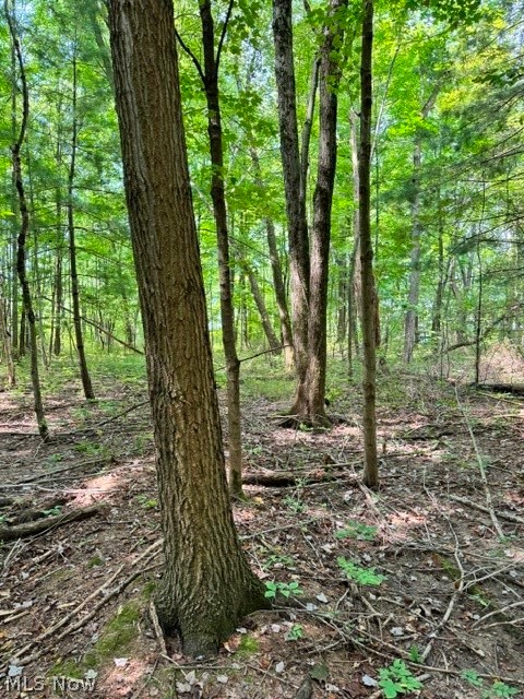 V/l Approx 7.4 Acres Medina Line Road Bath OH 44333