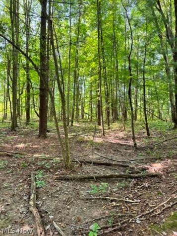 V/l Approx 7.4 Acres Medina Line Road Bath OH 44333
