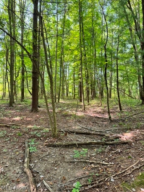 V/l Approx 7.4 Acres Medina Line Road Bath OH 44333