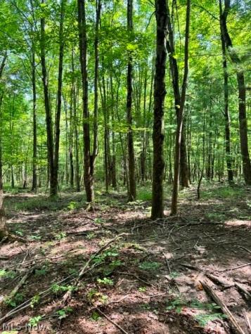V/l Approx 7.4 Acres Medina Line Road Bath OH 44333