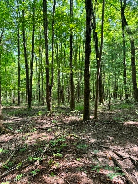 V/l Approx 7.4 Acres Medina Line Road Bath OH 44333