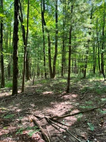 V/l Approx 7.4 Acres Medina Line Road Bath OH 44333