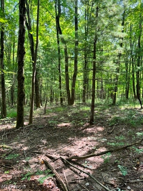V/l Approx 7.4 Acres Medina Line Road Bath OH 44333