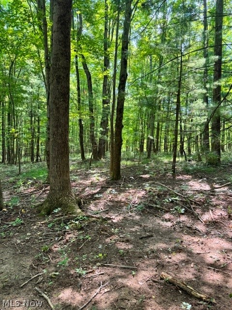 V/l Approx 7.4 Acres Medina Line Road Bath OH 44333