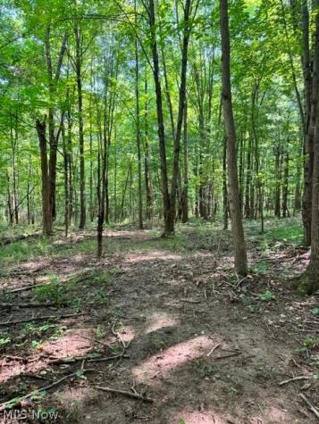 V/l Approx 7.4 Acres Medina Line Road Bath OH 44333
