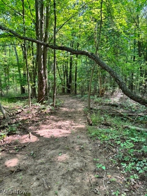 V/l Approx 7.4 Acres Medina Line Road Bath OH 44333