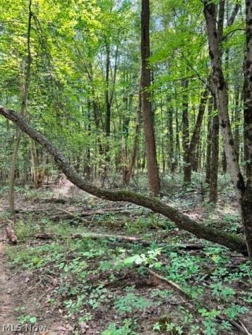 V/l Approx 7.4 Acres Medina Line Road Bath OH 44333