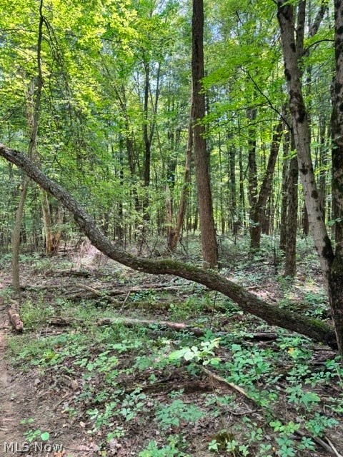 V/l Approx 7.4 Acres Medina Line Road Bath OH 44333