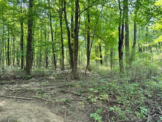 V/l Approx 7.4 Acres Medina Line Road Bath OH 44333