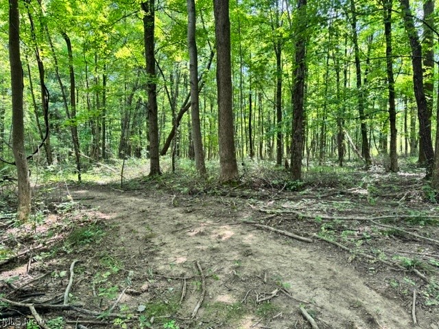 V/l Approx 7.4 Acres Medina Line Road Bath OH 44333