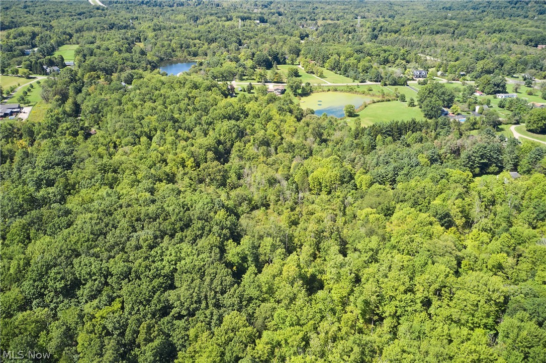 V/l Approx 7.4 Acres Medina Line Road Bath OH 44333