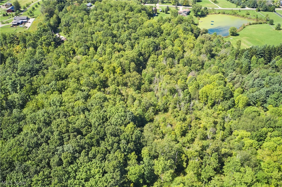 V/l Approx 7.4 Acres Medina Line Road Bath OH 44333