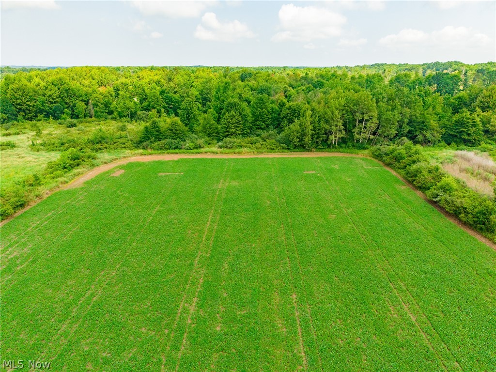 State Route 167 Jefferson OH 44047
