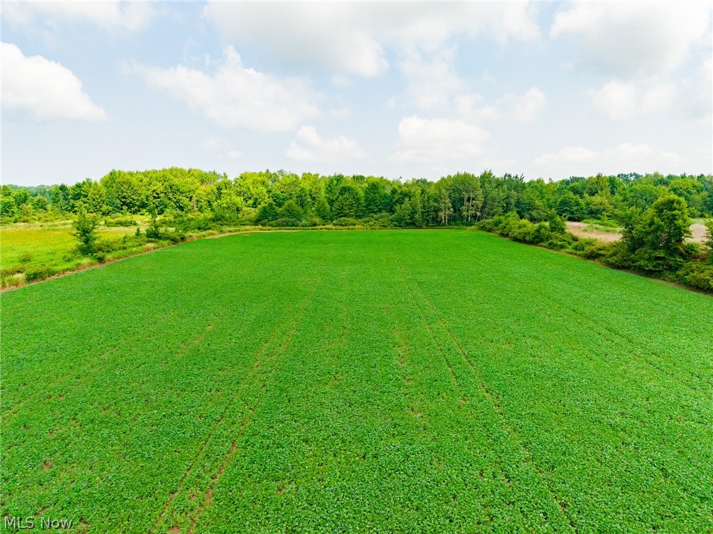 State Route 167 Jefferson OH 44047