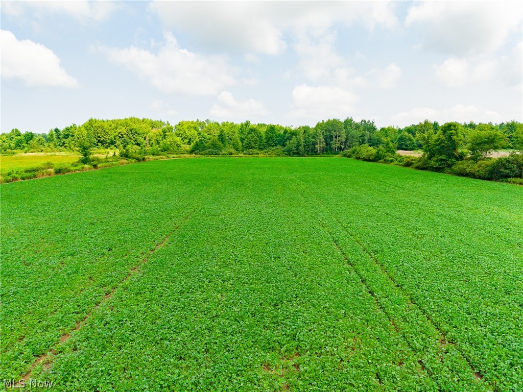 State Route 167 Jefferson OH 44047