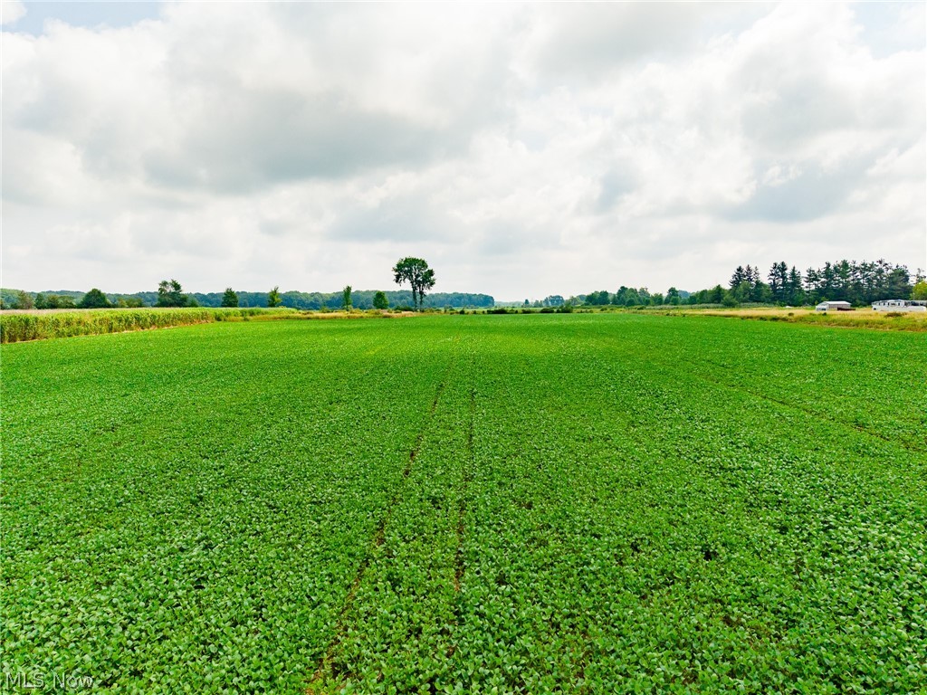 State Route 167 Jefferson OH 44047