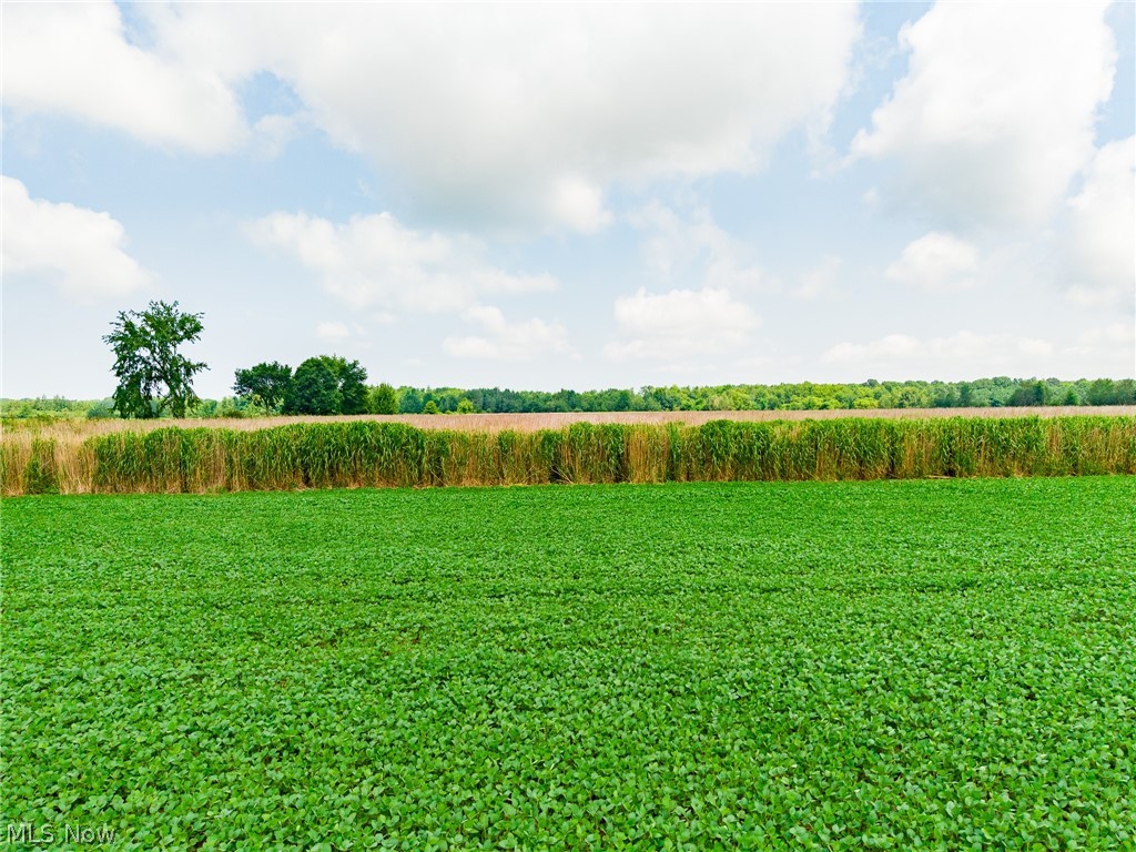 State Route 167 Jefferson OH 44047
