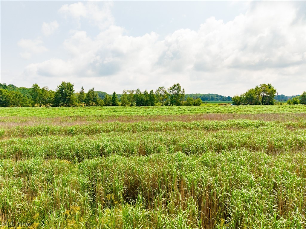 State Route 167 Jefferson OH 44047