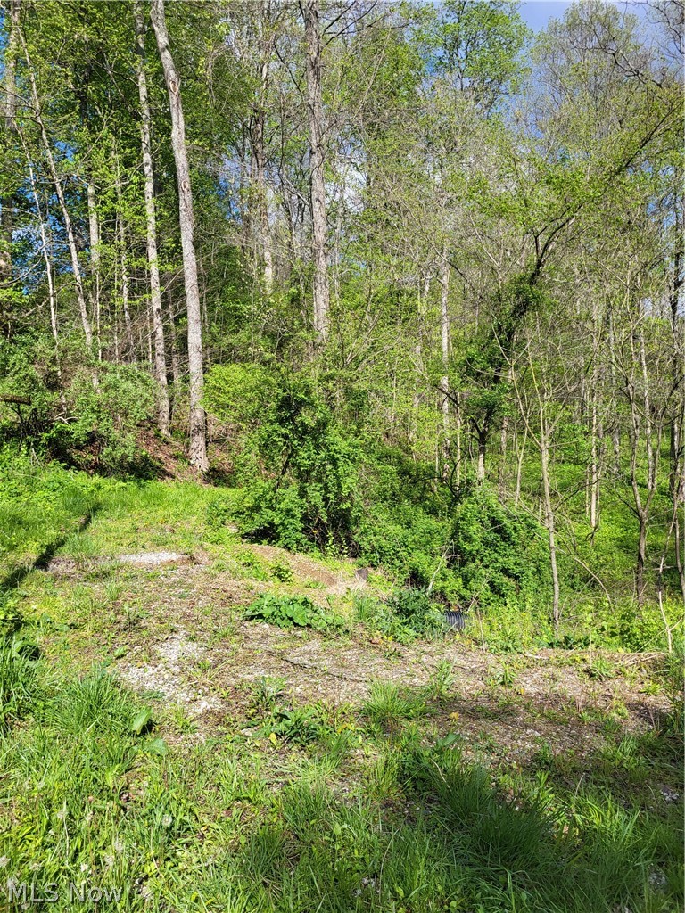 Township Road 62 Dresden OH 43812