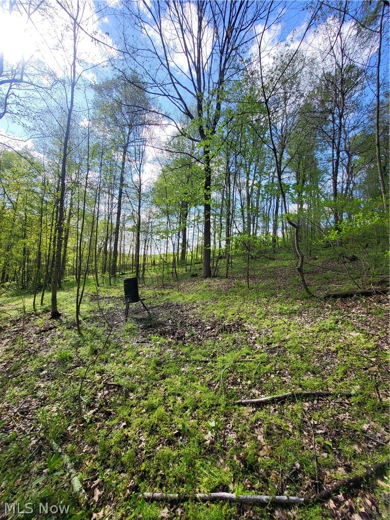 Township Road 62 Dresden OH 43812