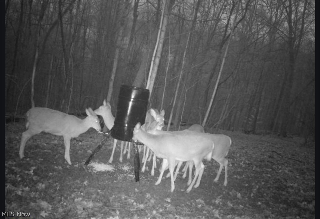 Township Road 62 Dresden OH 43812