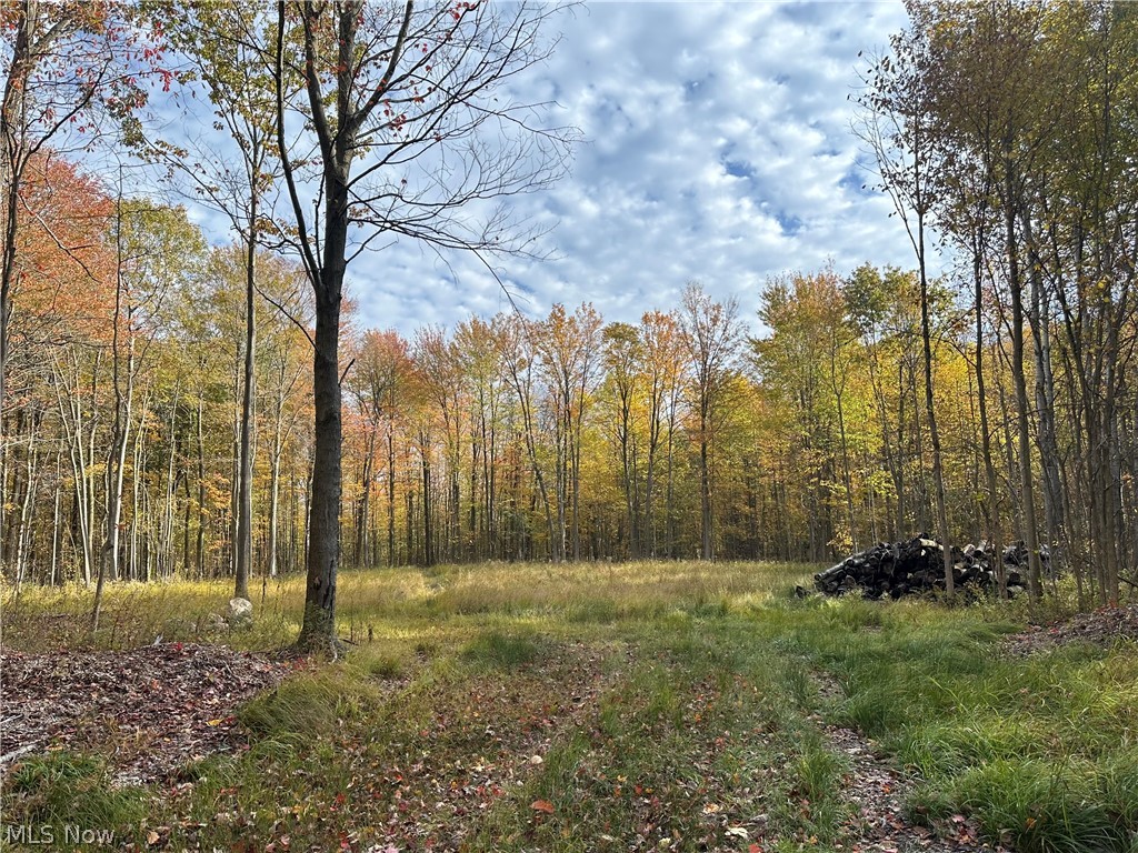 Chagrin Falls OH, 11611 Washington Street