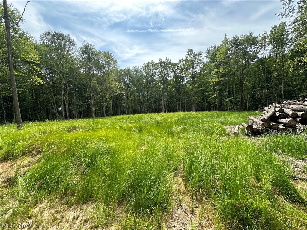11611 Washington Street Chagrin Falls OH 44023