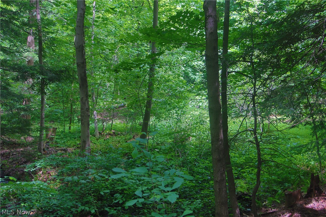 7250 Brakeman Road Leroy OH 44077