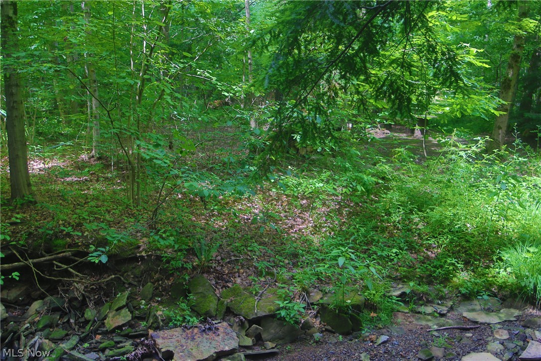 7250 Brakeman Road Leroy OH 44077