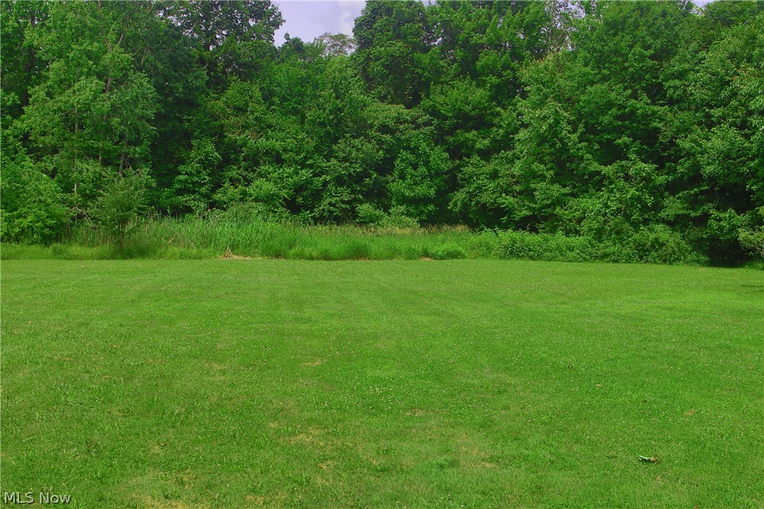 7250 Brakeman Road Leroy OH 44077