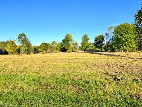 Lot #1 W Smith Road Medina OH 44256
