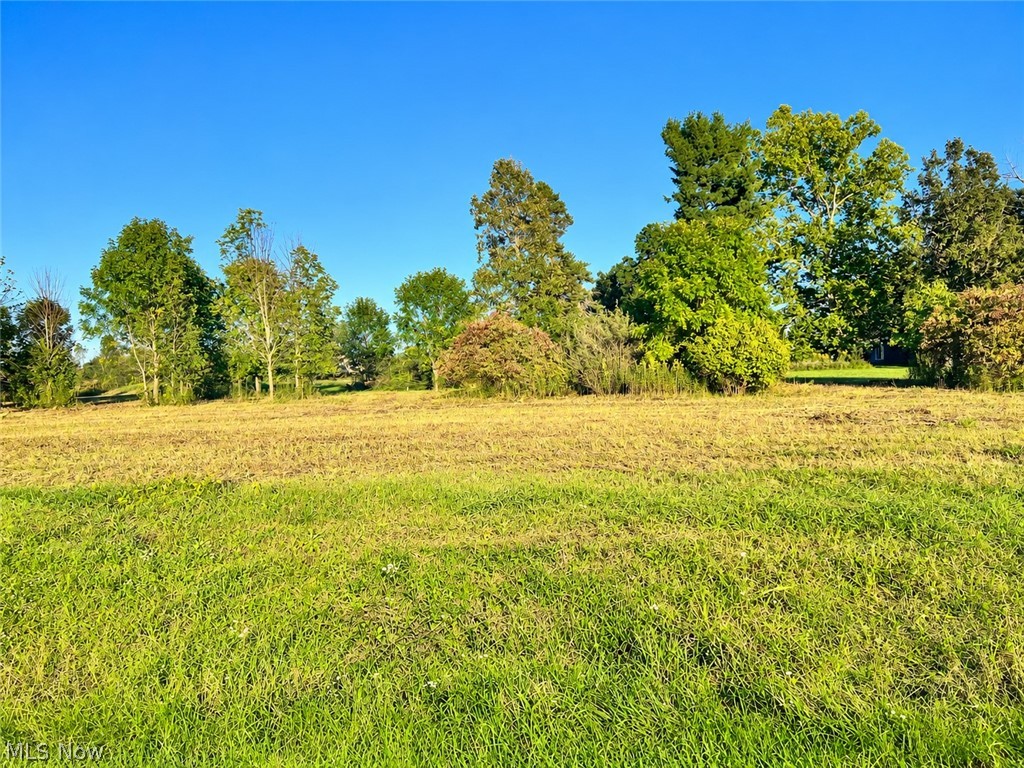 Lot #1 W Smith Road Medina OH 44256