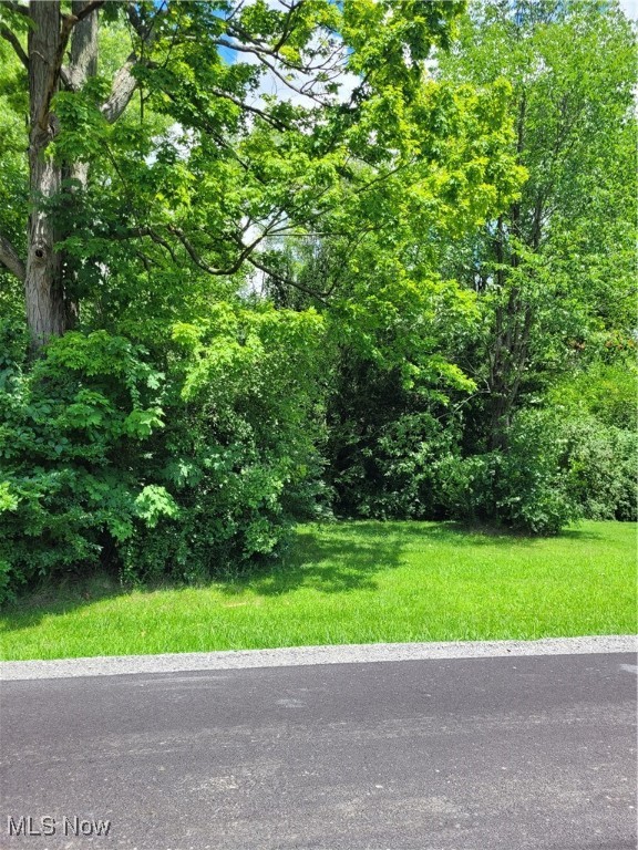 Townsend Avenue Youngstown OH 44505