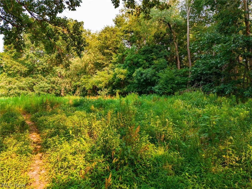 Stone Avenue Navarre OH 44662