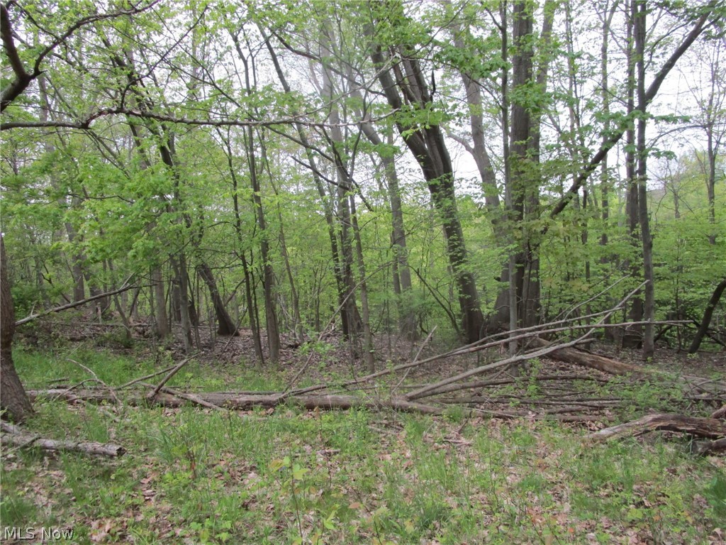 Daniels Avenue Conneaut OH 44030