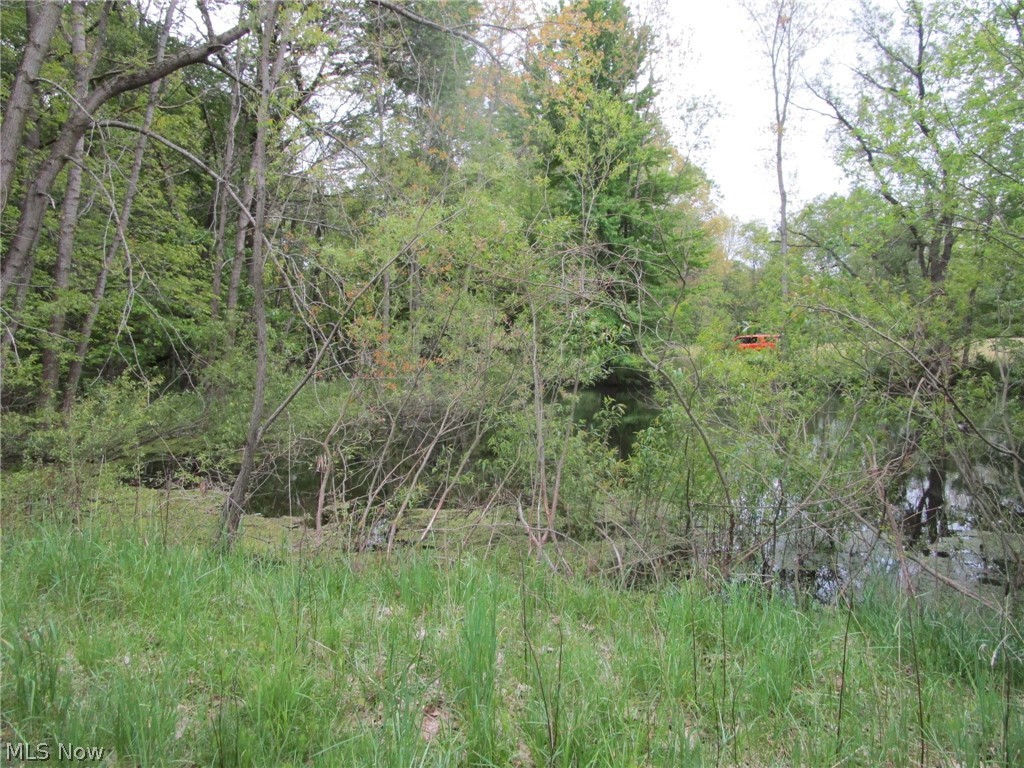 Daniels Avenue Conneaut OH 44030