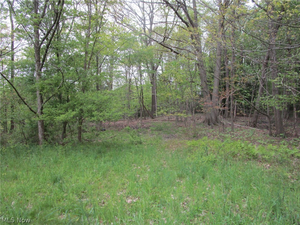 Daniels Avenue Conneaut OH 44030