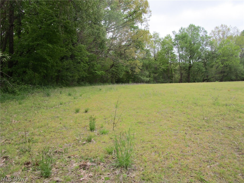 Daniels Avenue Conneaut OH 44030