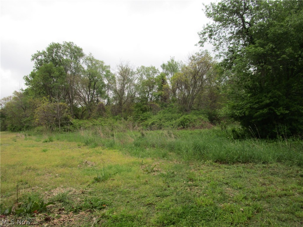 Daniels Avenue Conneaut OH 44030