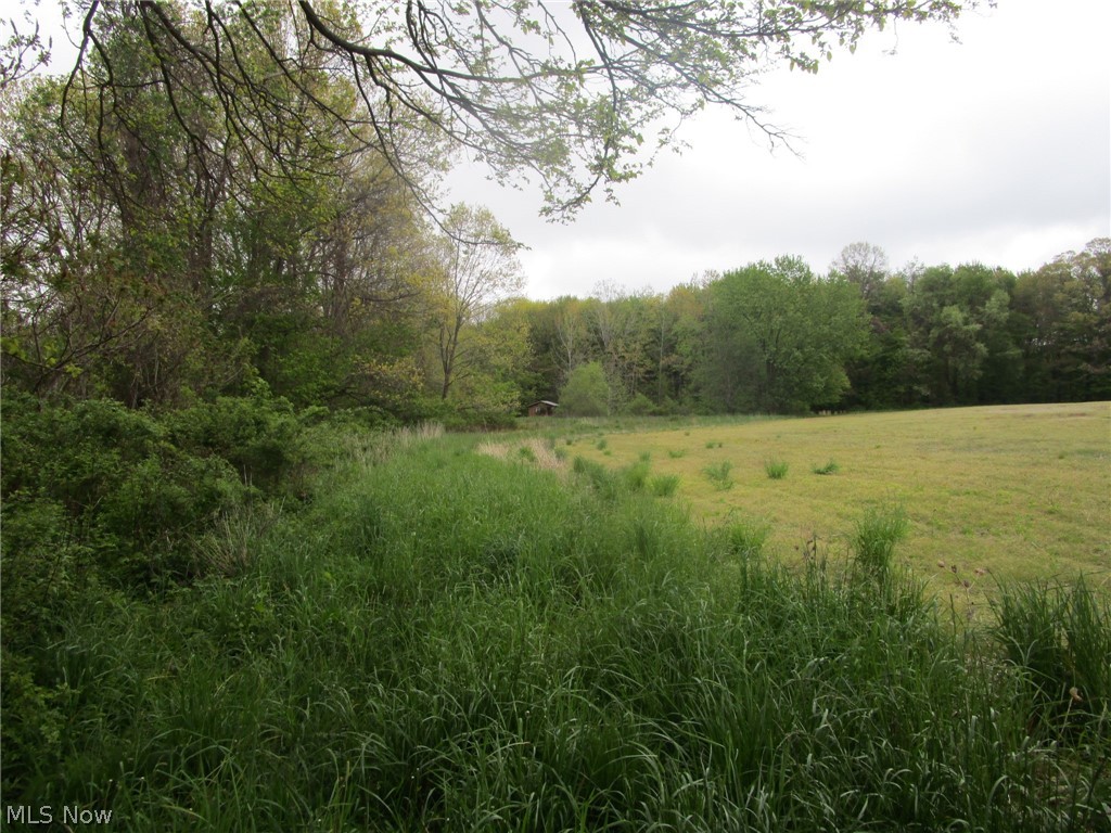 Daniels Avenue Conneaut OH 44030