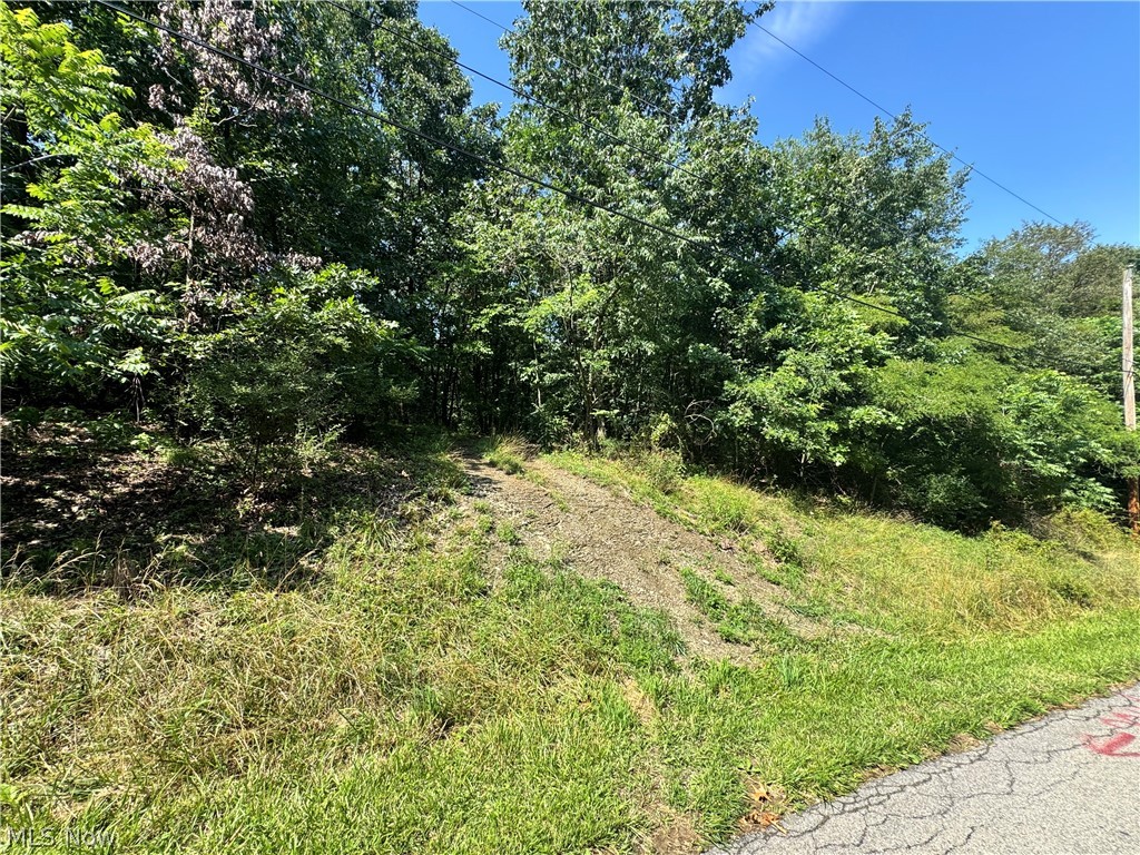 47308 Chippewa Trail Negley OH 44441