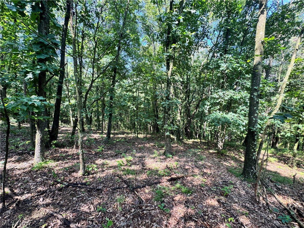 47308 Chippewa Trail Negley OH 44441