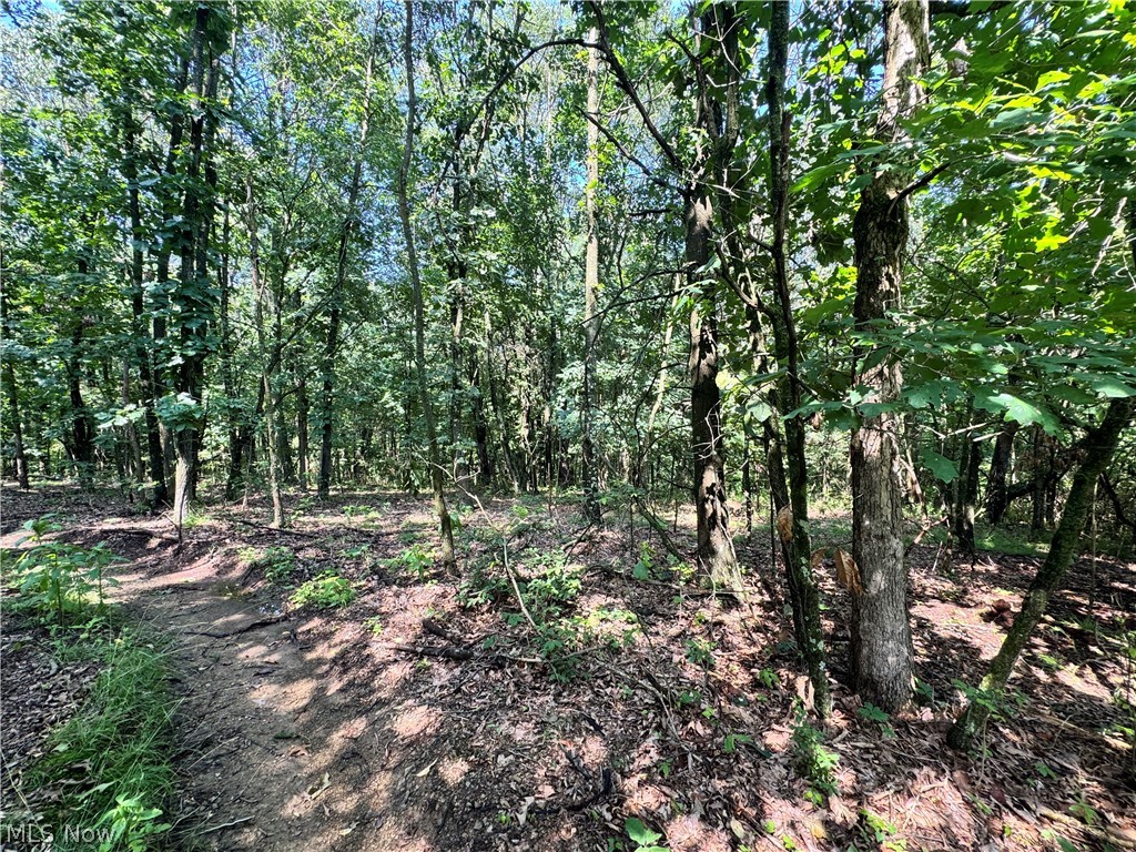 47308 Chippewa Trail Negley OH 44441