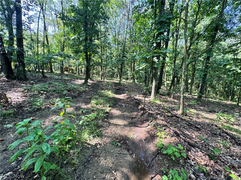 47308 Chippewa Trail Negley OH 44441