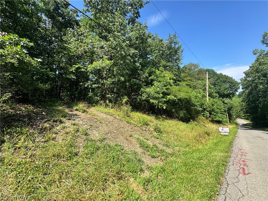 47308 Chippewa Trail Negley OH 44441