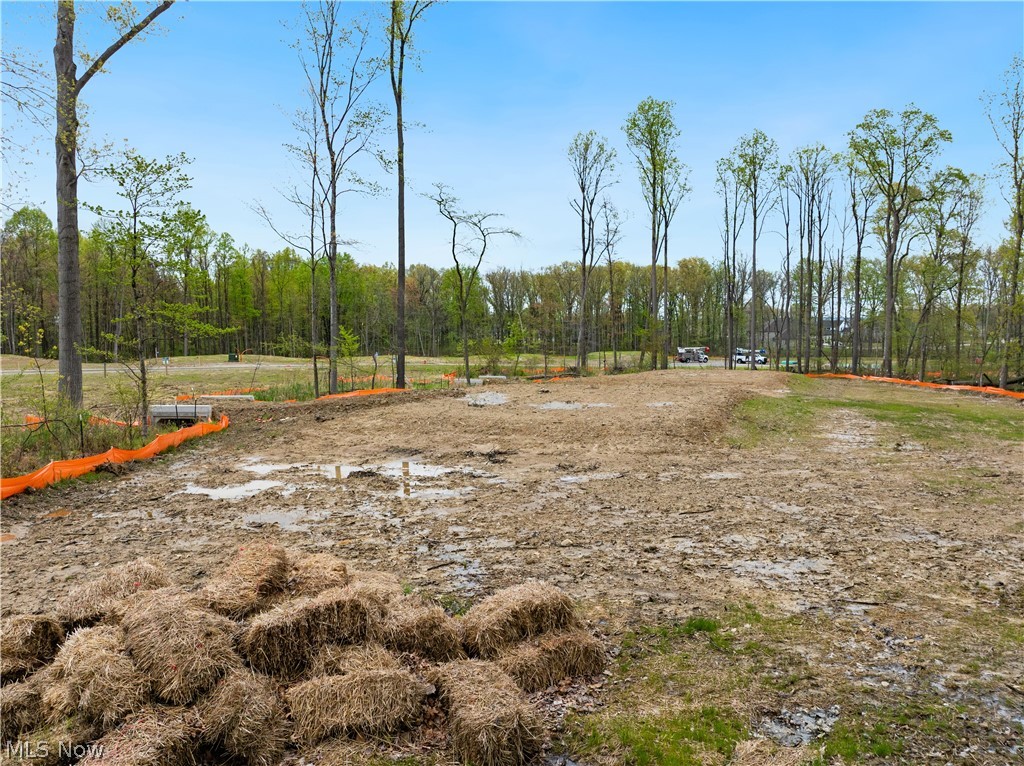 9526 River Birch Run Brecksville OH 44141