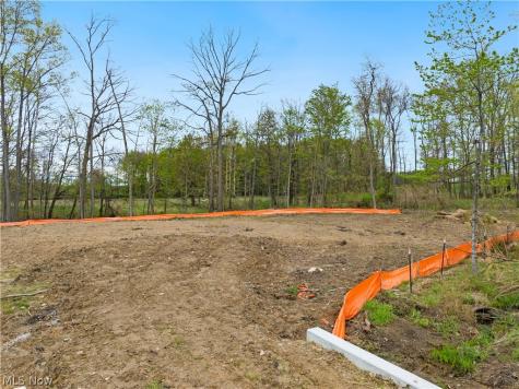 9526 River Birch Run Brecksville OH 44141